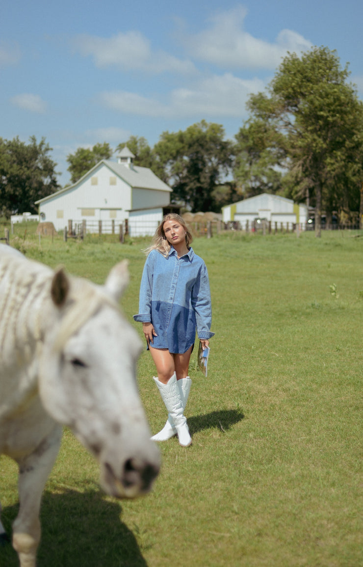 RODEO NIGHTS BUTTON DOWN