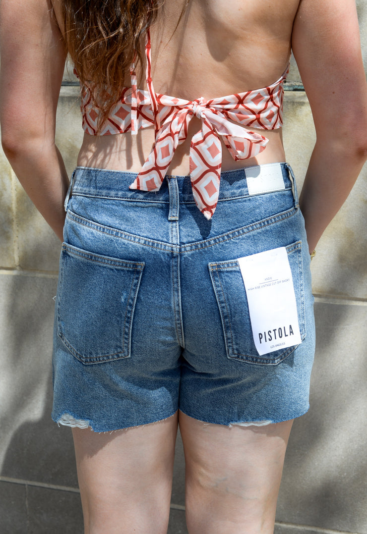 ANDIE HIGH RISE SHORTIE